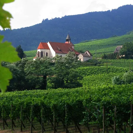 Le Grand Cru De Sophie * Dambach-la-Ville
